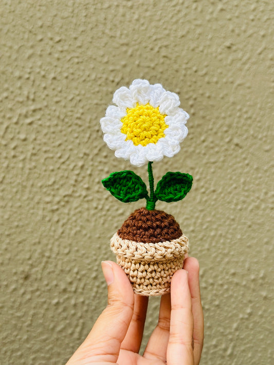 Crochet daisy flower pot