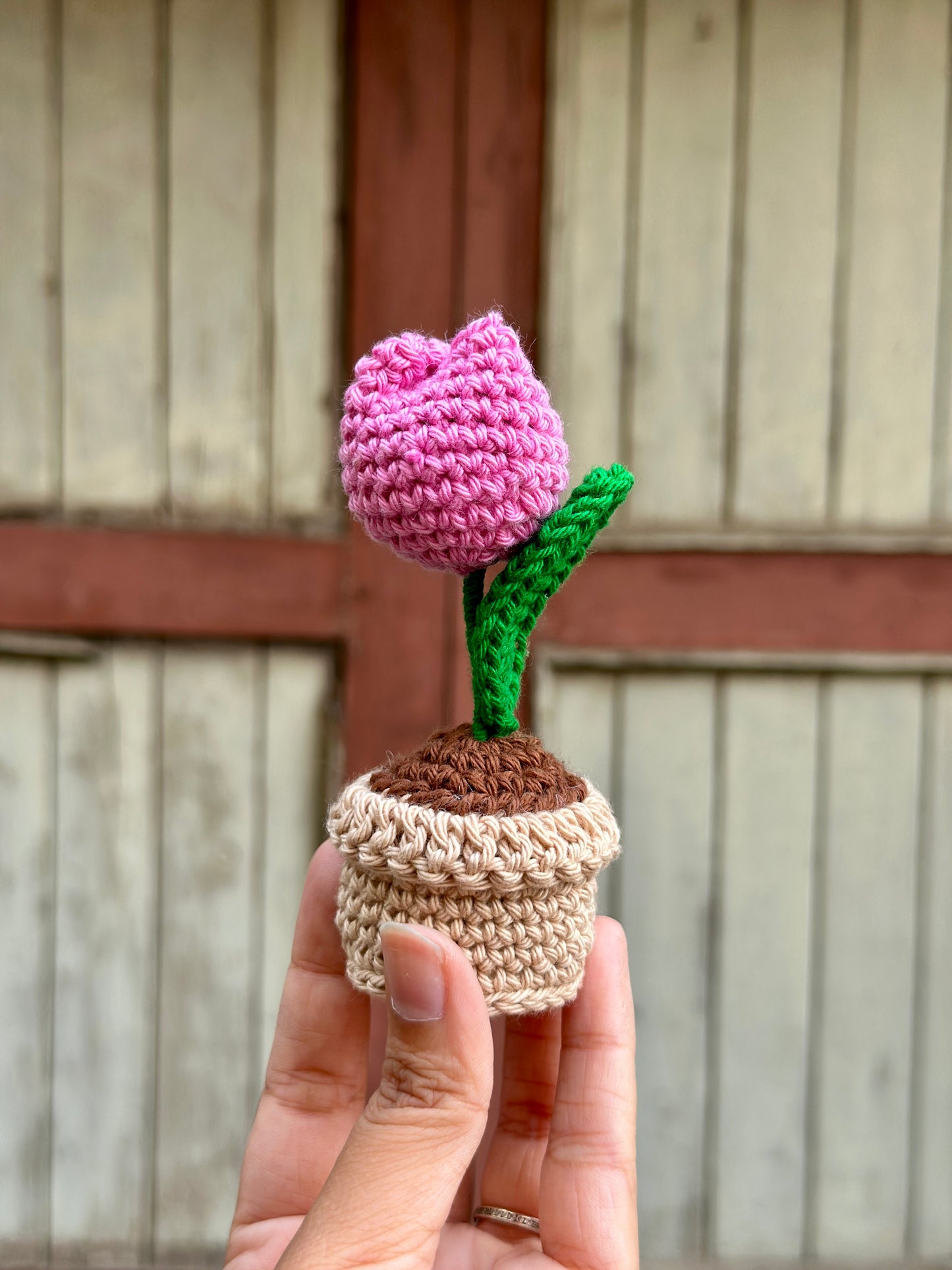 Crochet tulip flower pot